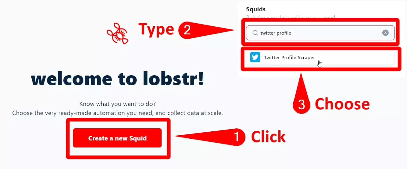 create new squid - image5.png