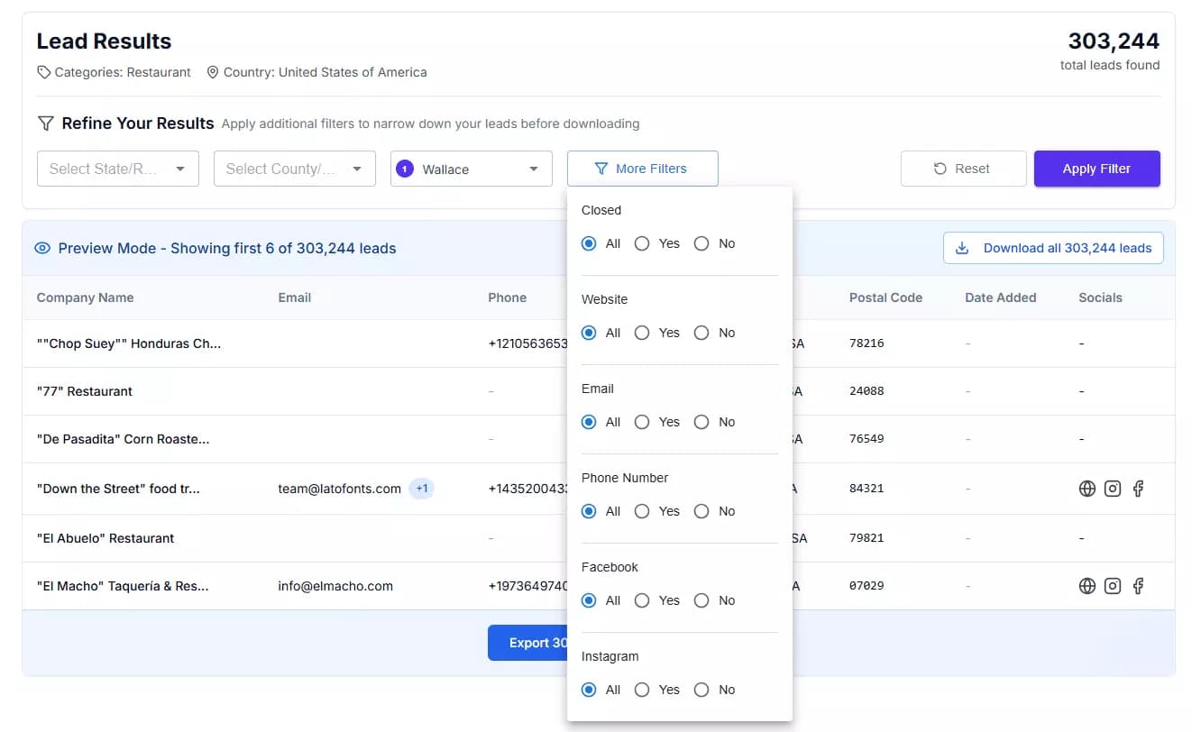 Step 1: Finding leads from Google Maps - Features