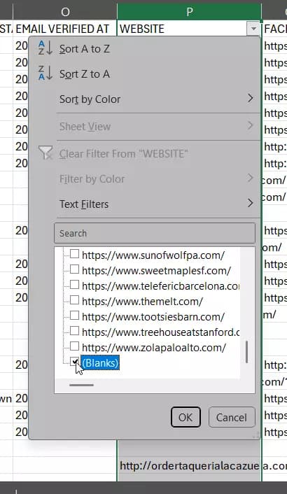 How to find Google Maps listings with or without websites?