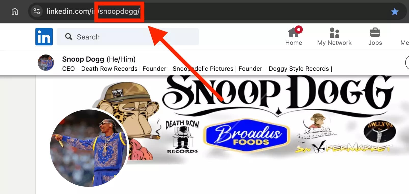 pick influencer slug from linkedin url - image1.png