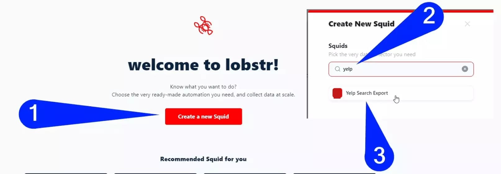 Launching Yelp Search Export