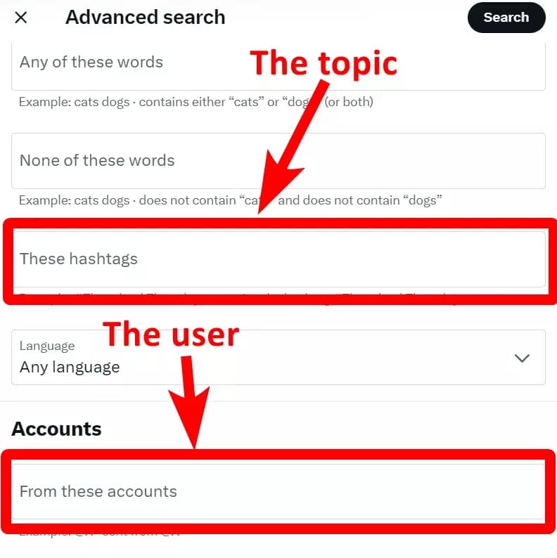 x filters 1 - image14.png