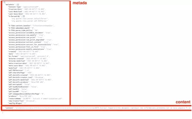 How to scrape PDFs with Python3 and Tika library?-image-4.png