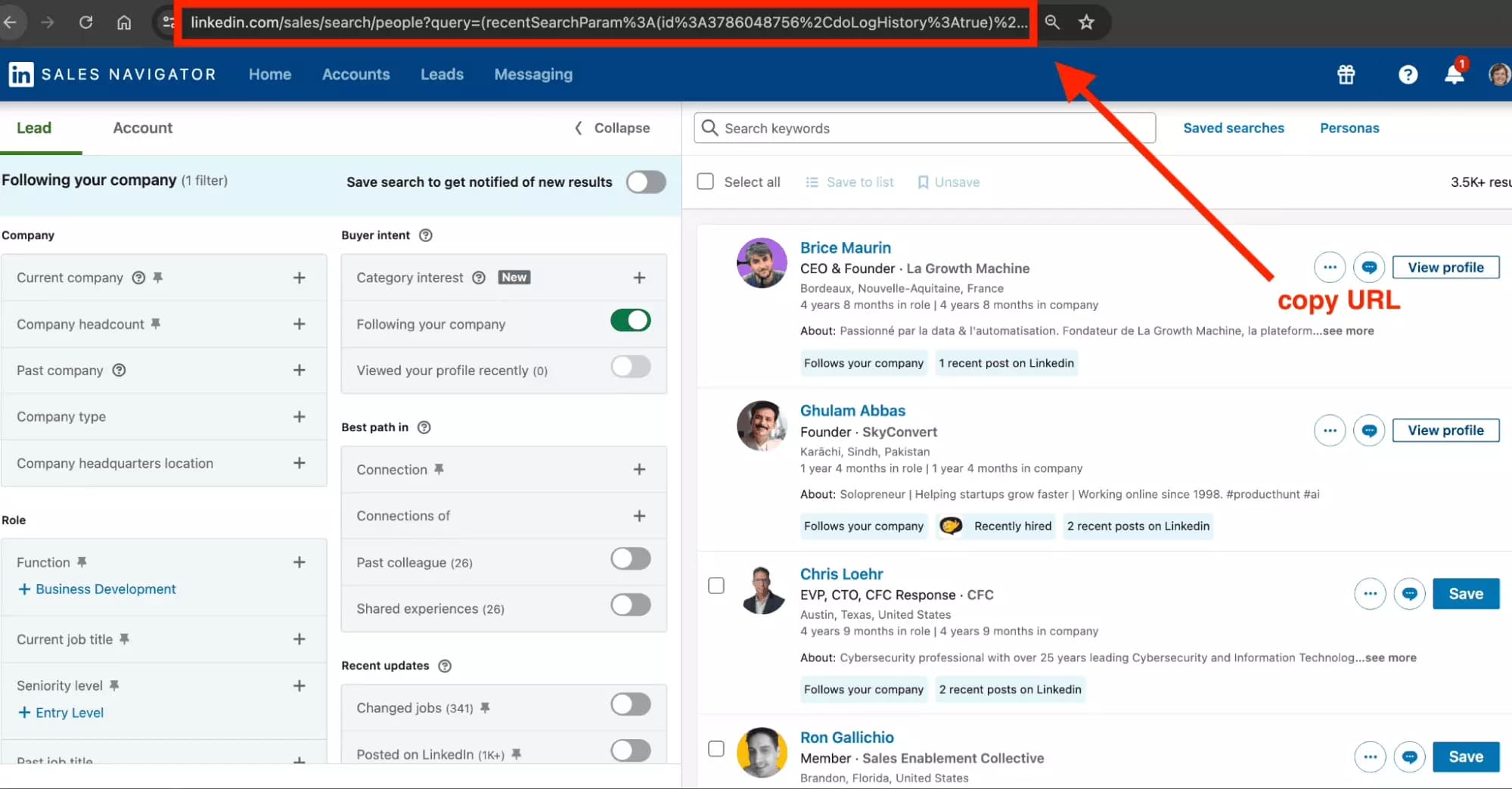 copy sales navigator leads search url - image3.png