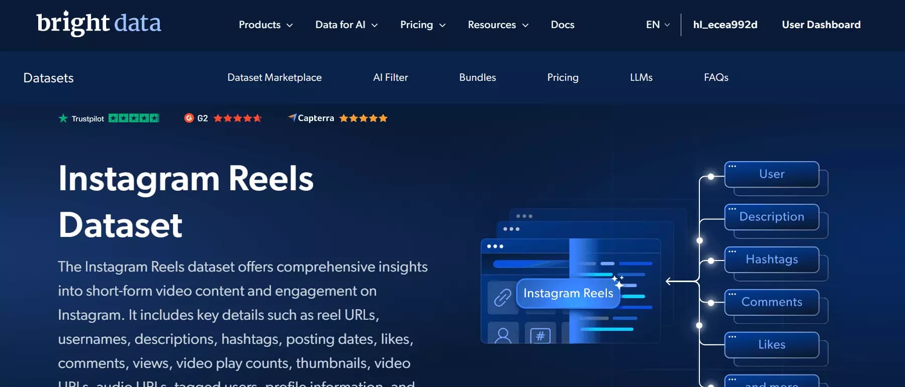 Bright Data Instagram Reels Scraper interface