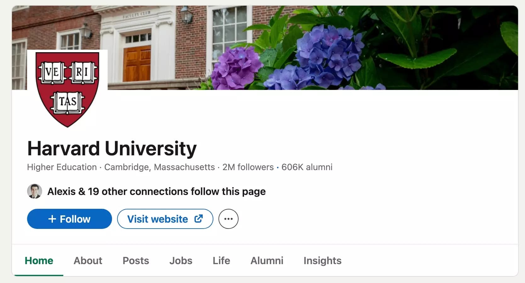linkedin school page illustration harvard - image65.png